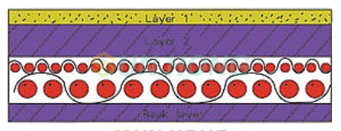 مطبوعات دو لایه احساس